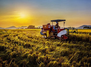 農業部關于啓動農業基礎性長期性科技工作的通知